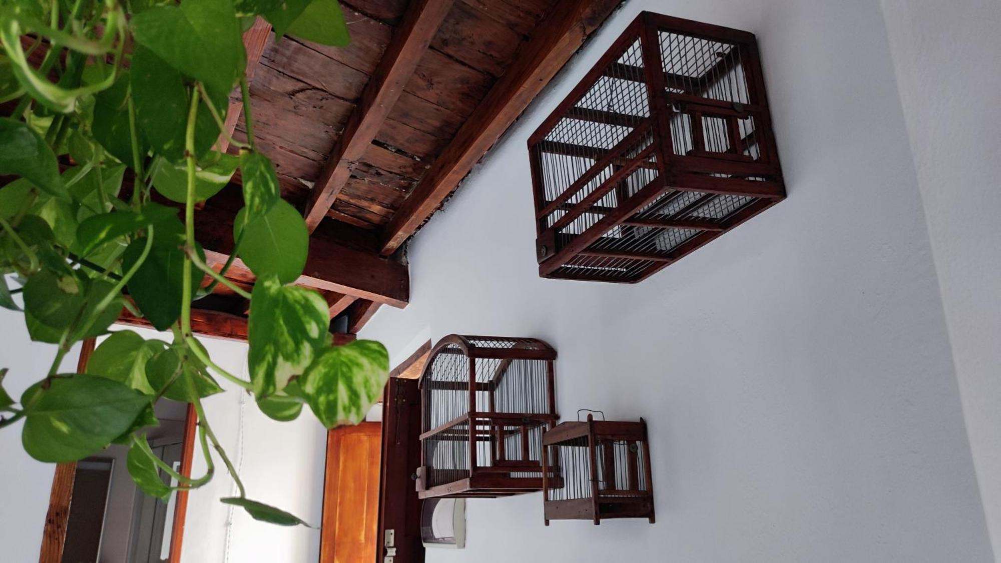 La Casita Del Muelle Villa Гарачико Екстериор снимка